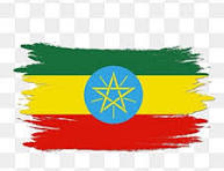 The Ethiopian Diaspora